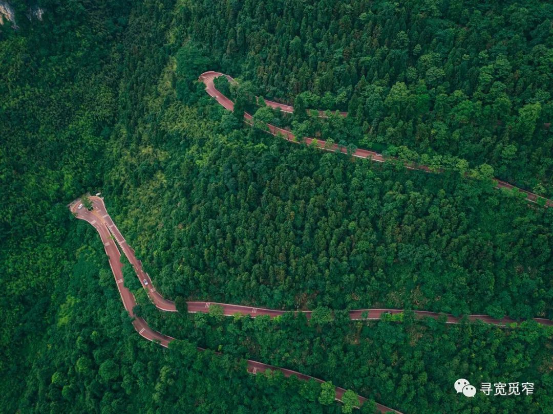 百丈关战役后续,百丈关战役失败的原因