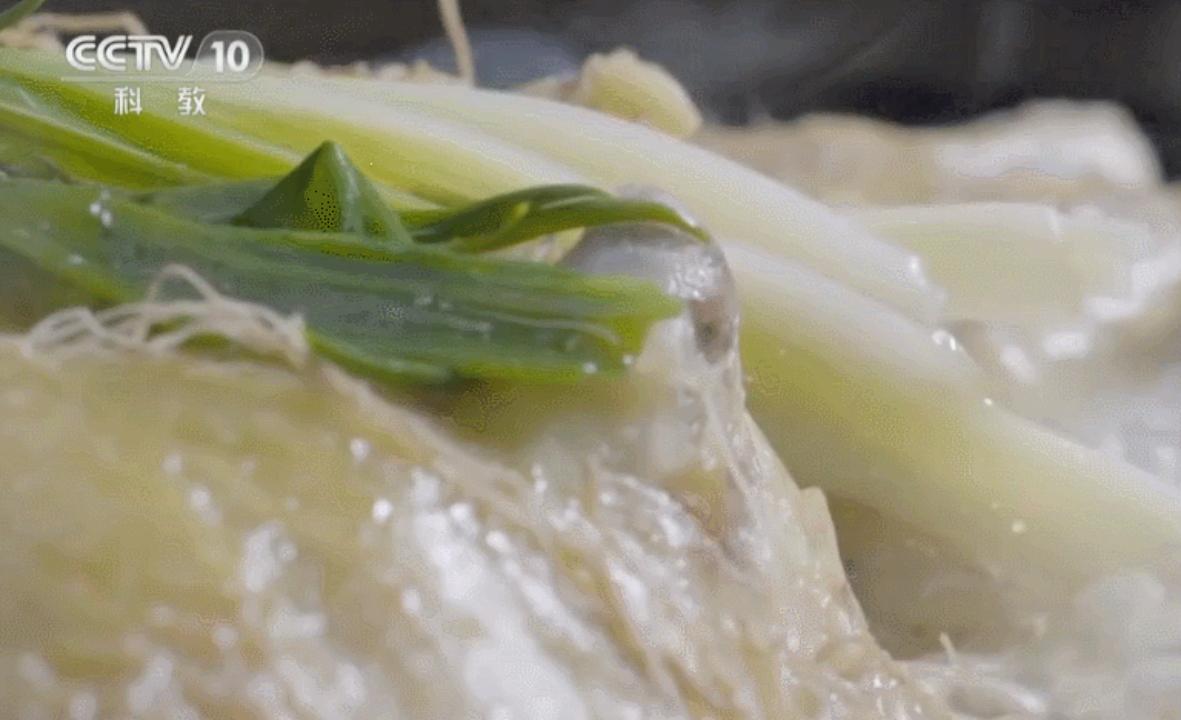 “阳康”们看过来！我不允许还有人不知道这个康养胜地！