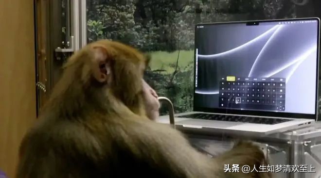 今日十大头条新闻热点,新闻热点大事件今日头条最新