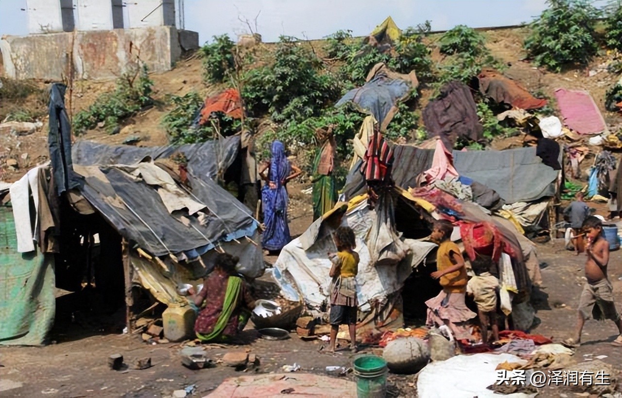 印度教徒喝牛尿能杀病毒吗,印度人用牛尿泡牛粪