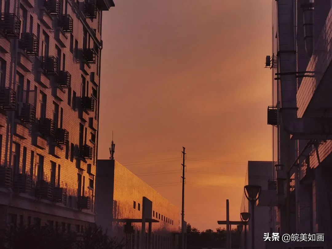 安徽大学好看的风景,高校最美秋景
