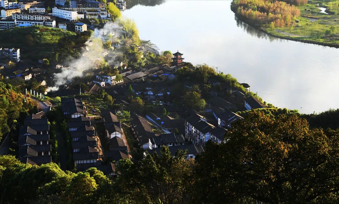 什么是南充菜,什么是南充菜图片