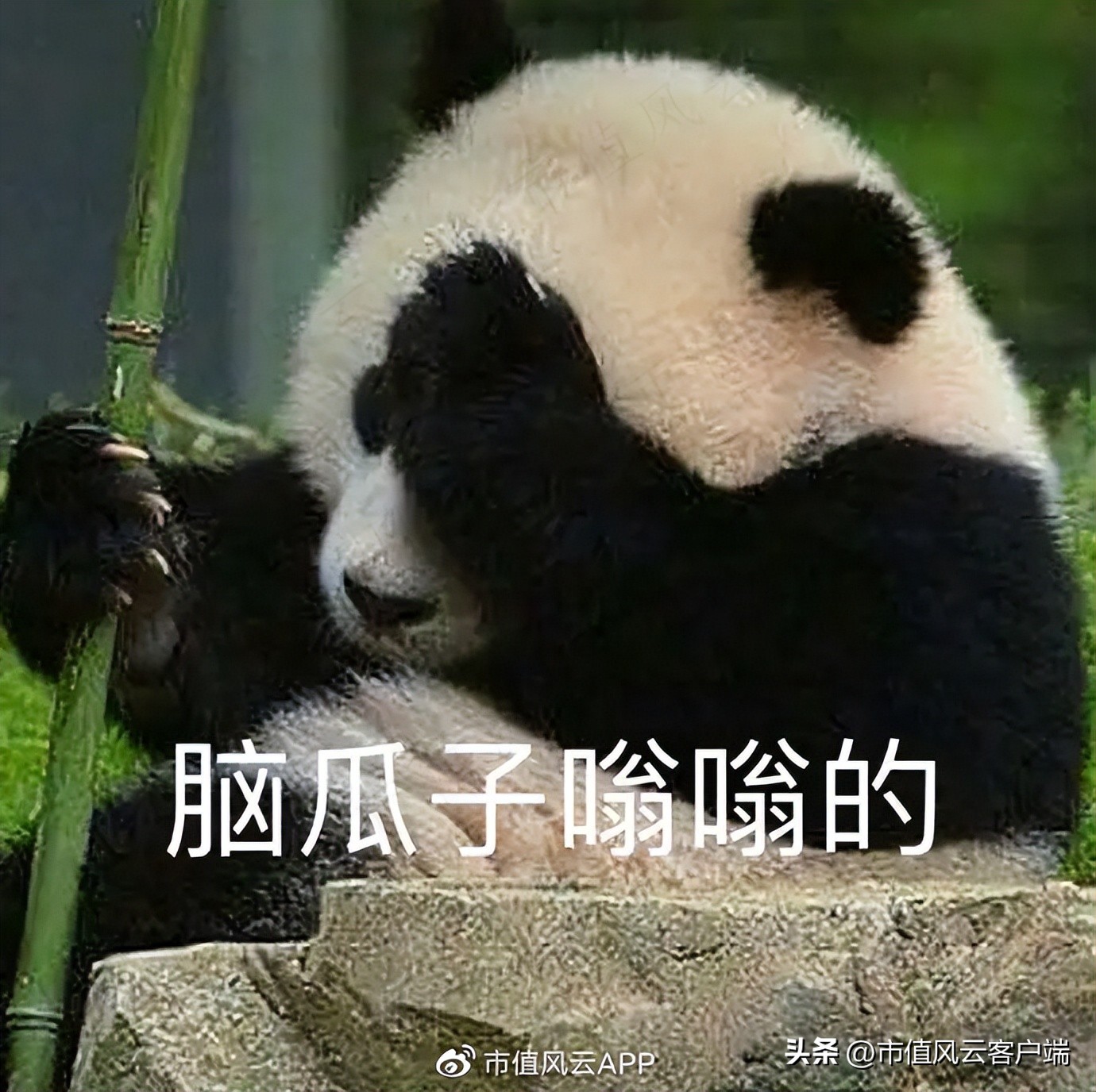 陈发树为什么被称为股神,福建首富股神陈发树