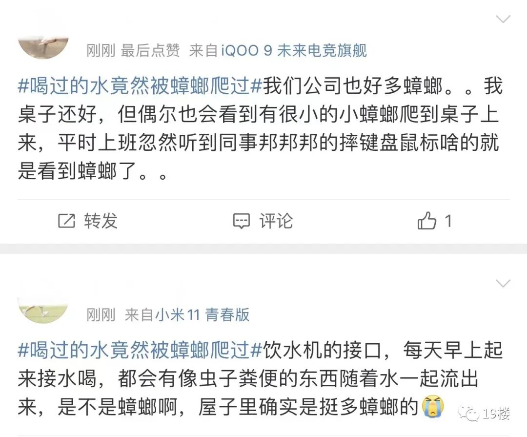 过敏原检测为蟑螂,过敏源是蟑螂过敏怎么办