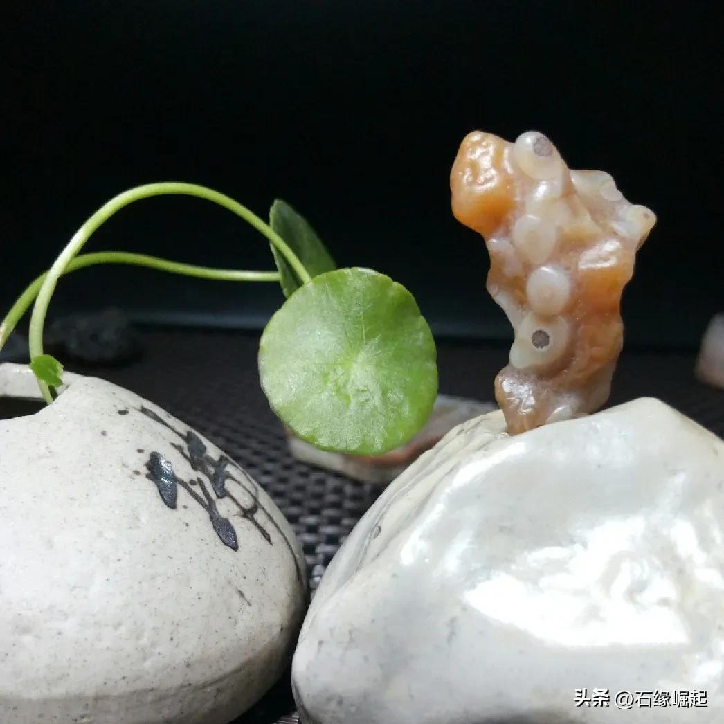 一块小小的石头也能让你这么开心 (一块小小的石头怎么敢这么滑)