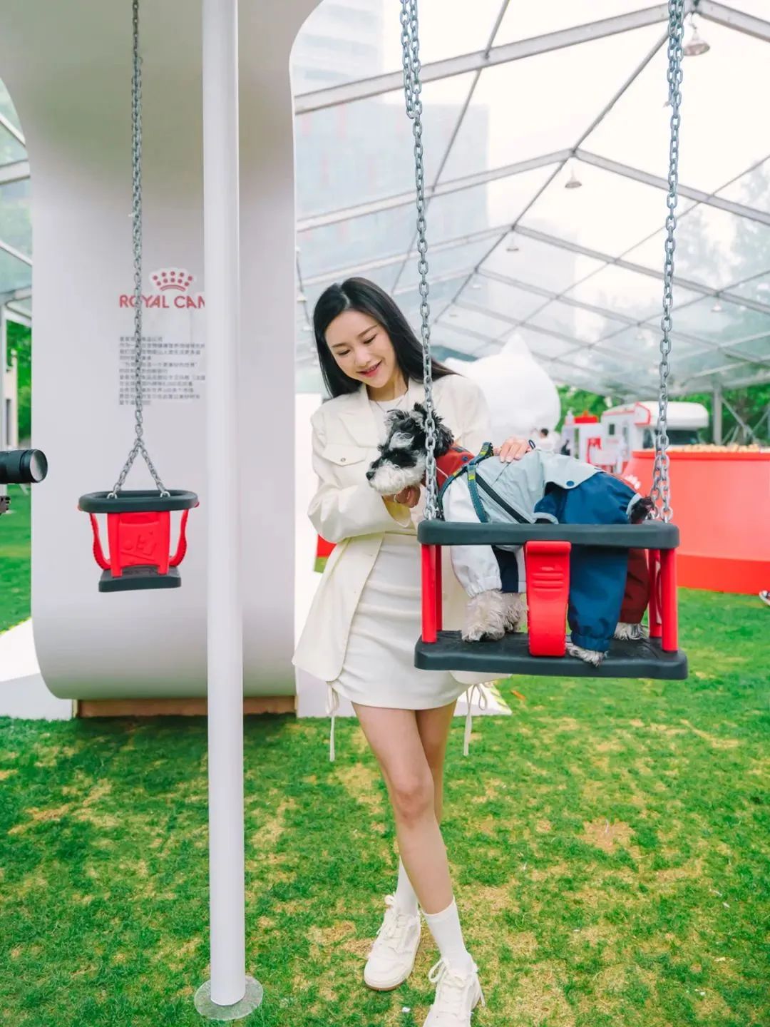 市区100平米宠物游乐园,宠物游乐场室内