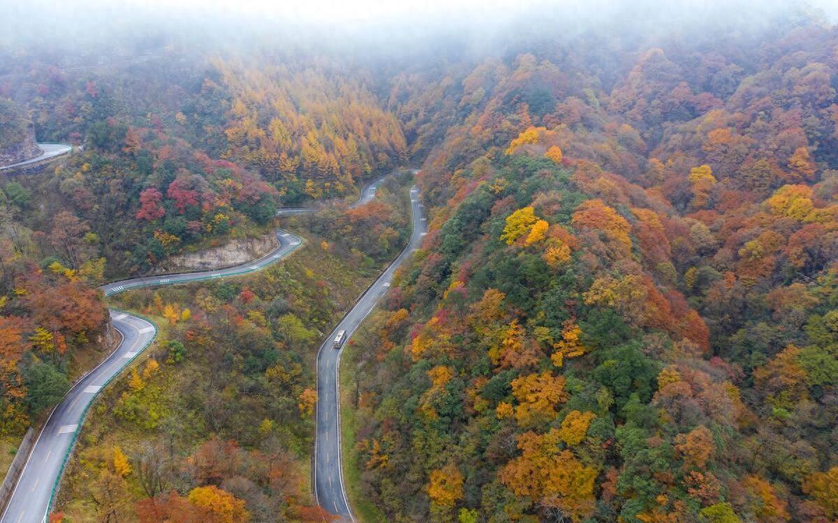 红叶如醉，光雾山等你来