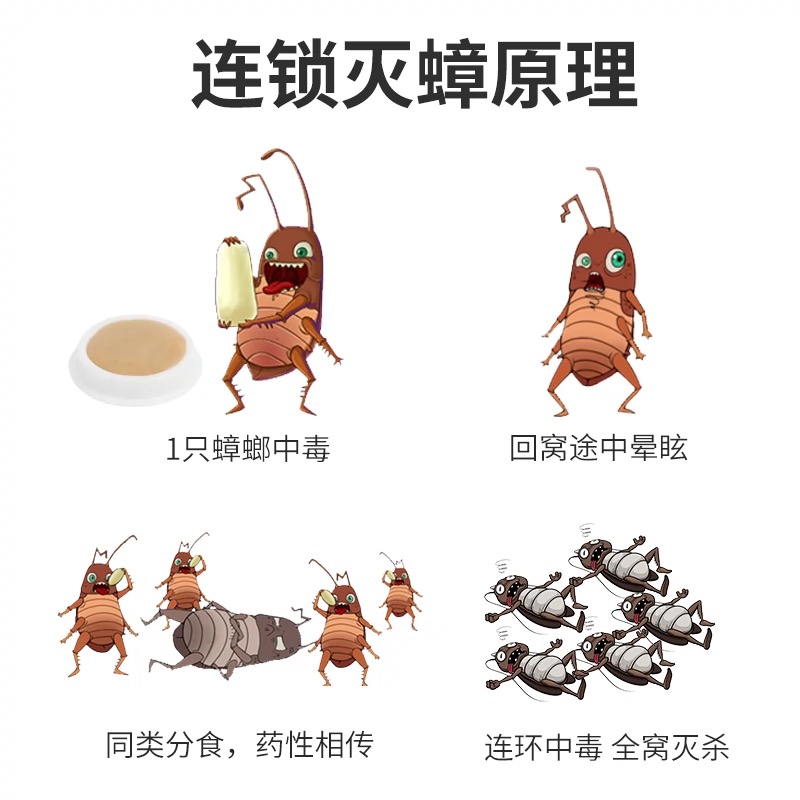 治蟑螂的最佳方法蟑螂最怕什么,驱赶蟑螂却不杀死蟑螂的方法