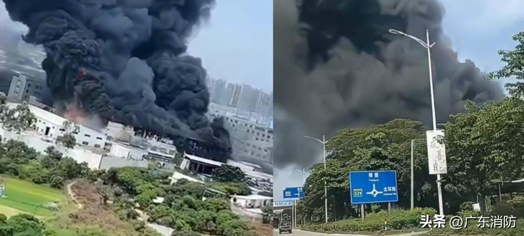 7死2伤最新处理结果,6死3伤原因查明了什么