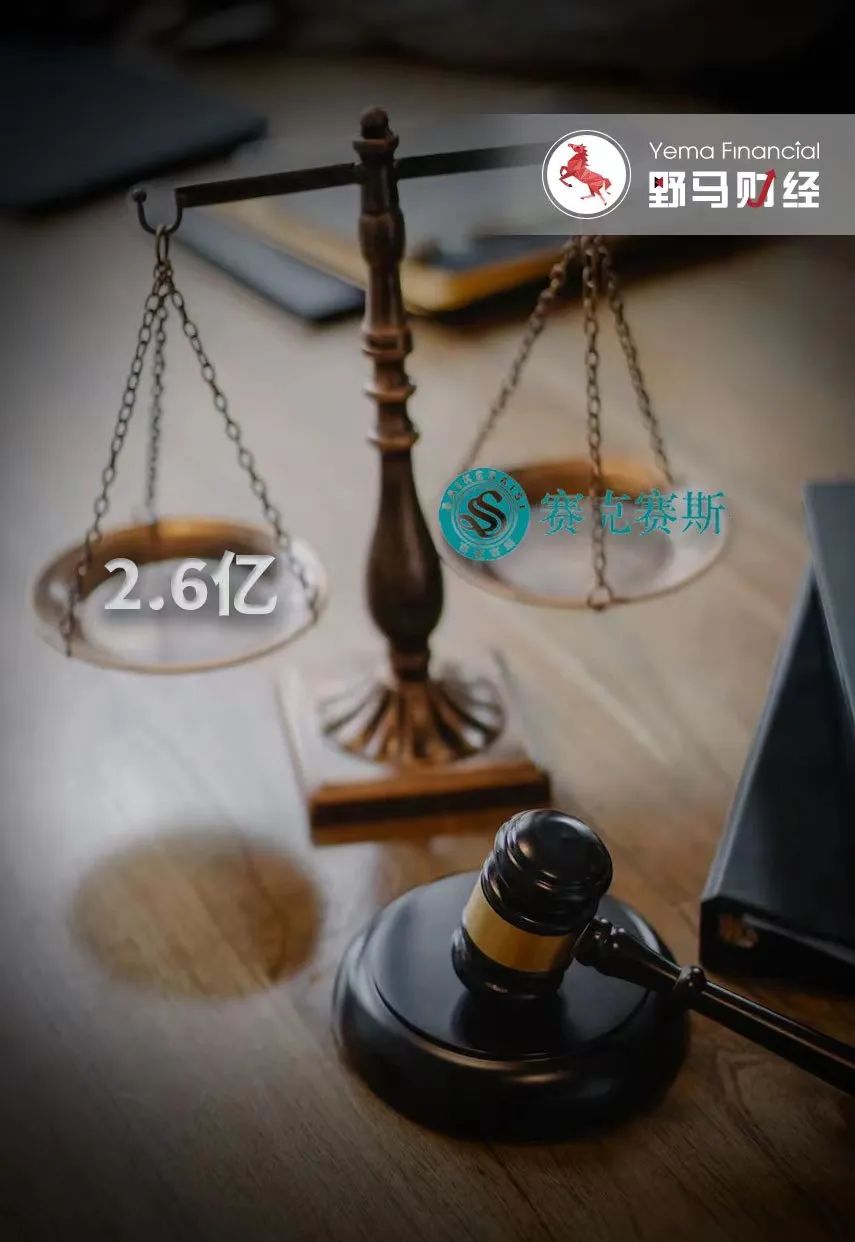 赛克赛斯氢能源ipo,赛克赛斯高管