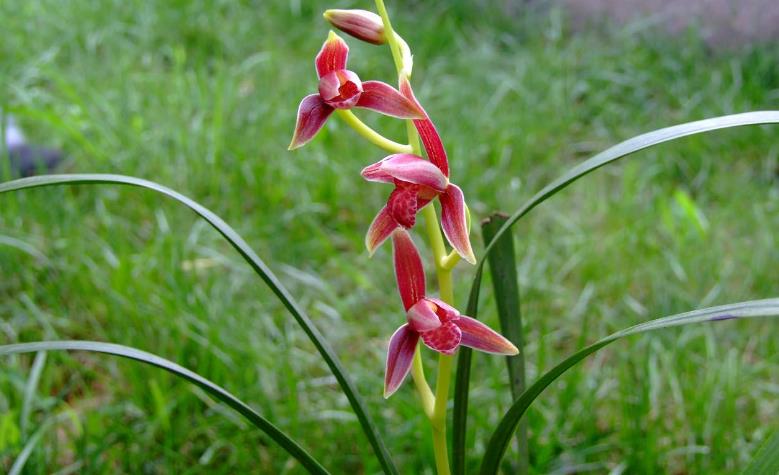 请人帮忙办事什么时候送礼最好,人托人办事怎样送礼合适