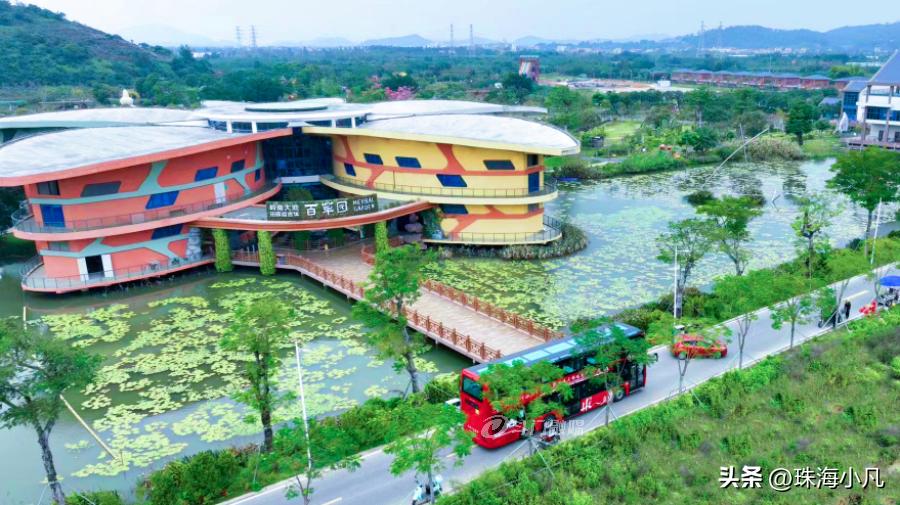 刚刚开通！莲洲⇋香洲！10元往返+区域无限次…