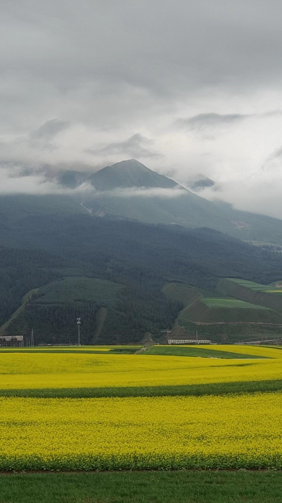 大美青海祁连美景图,美丽的青海祁连