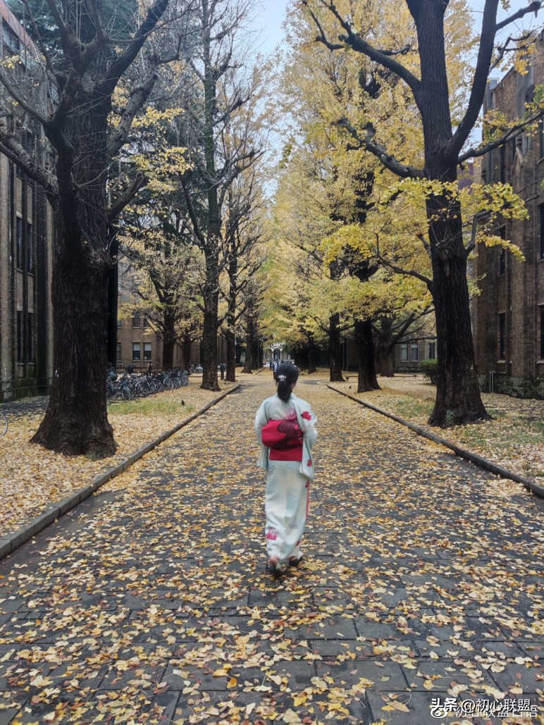 日本东京大学留学回国,日本东京大学本科交换生
