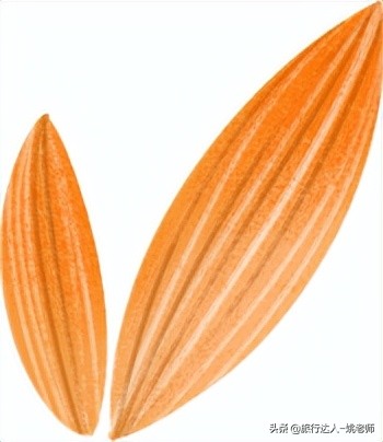 杭州团建有趣好玩室内公司拓展,富阳景区团建攻略推荐