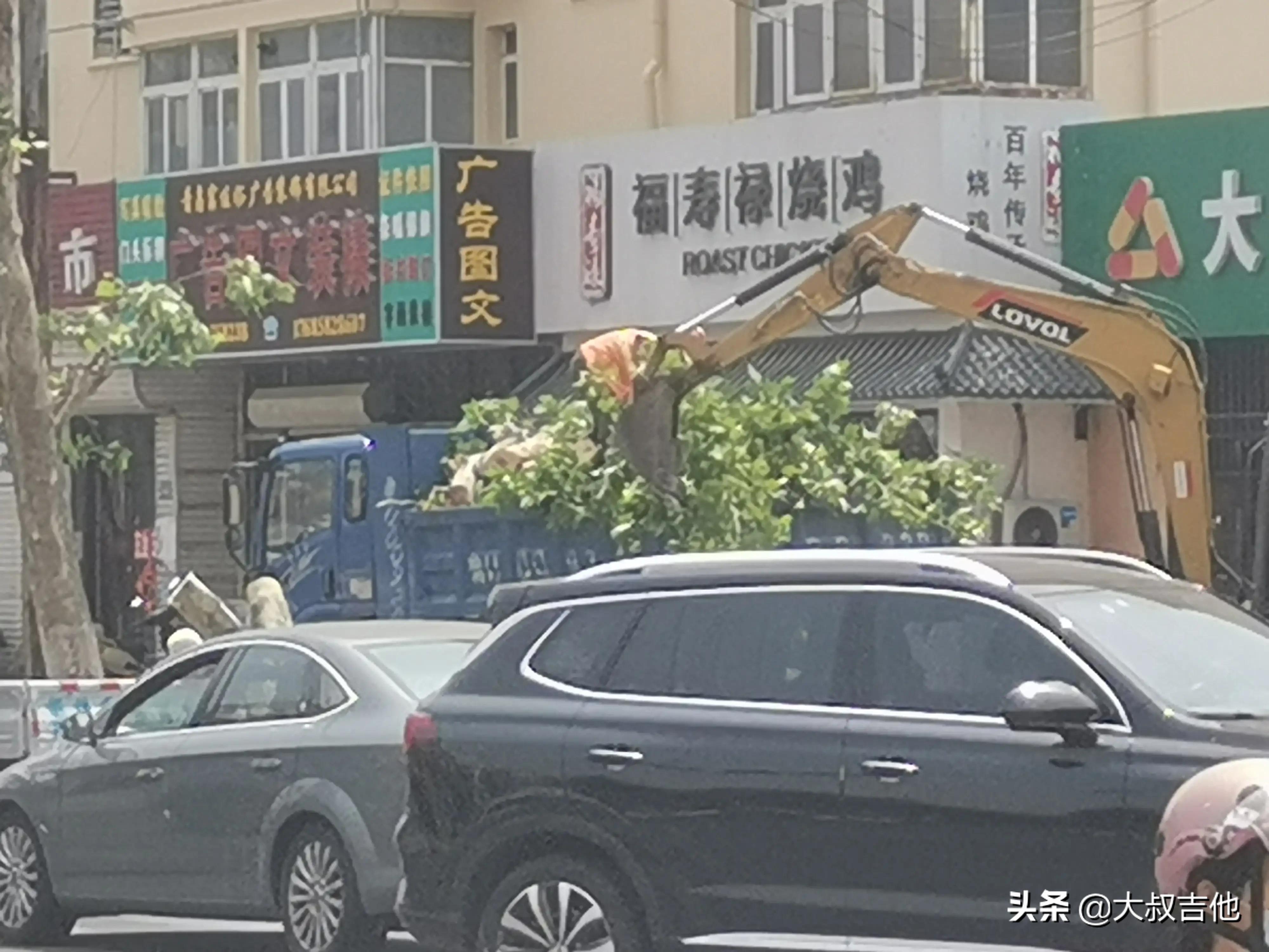 哭泣的大树简笔画,哭泣的大树