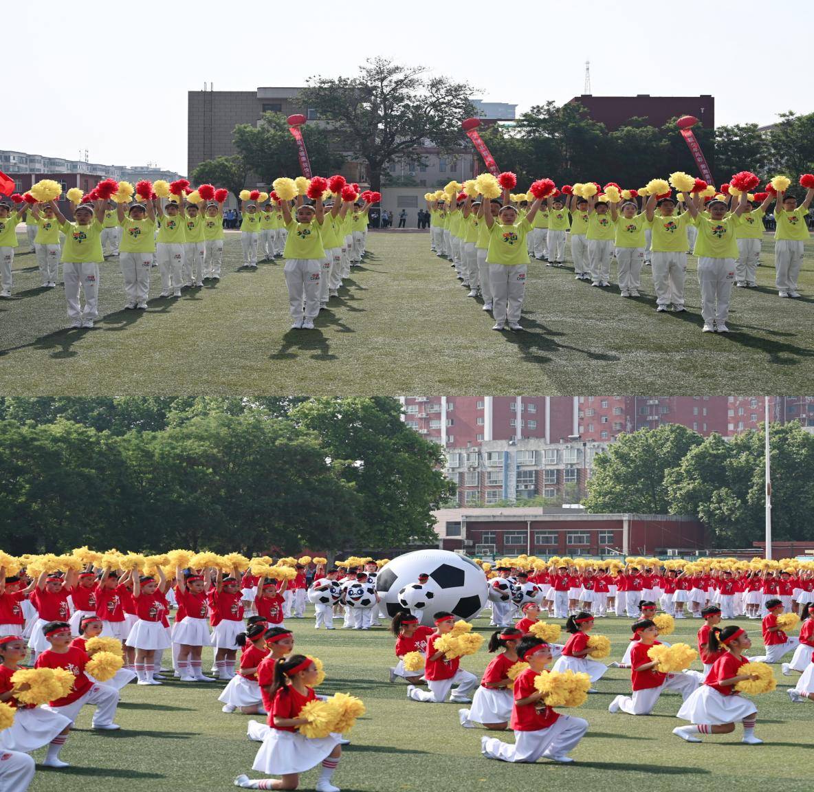 濮阳市第八届市长杯,濮阳市市长杯篮球比赛