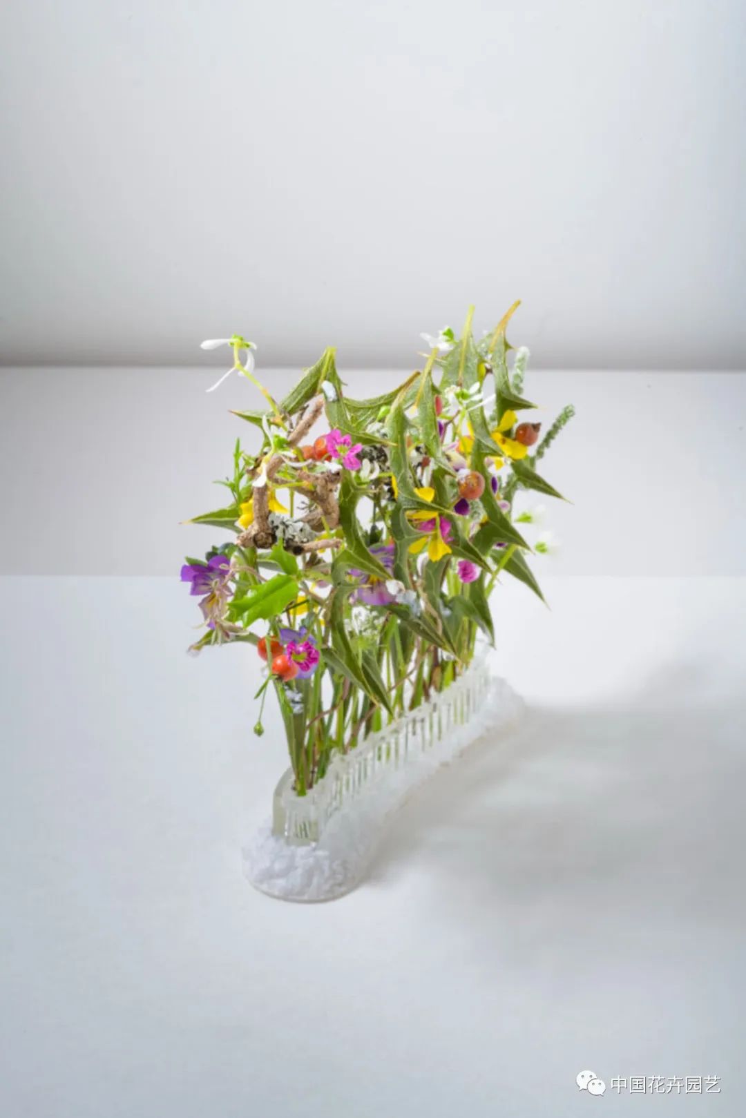 “2022日本花卉设计大奖”公布日本人花卉购买行为调查结果新鲜出炉|每周国际花讯