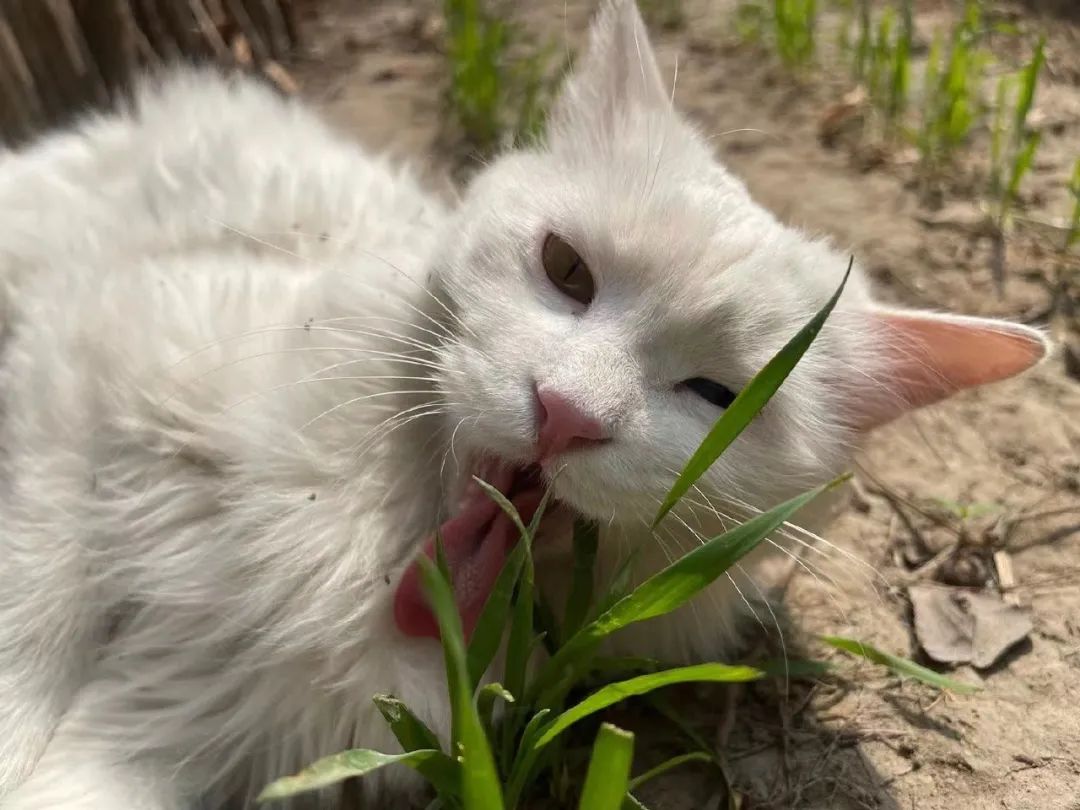 赵明明：上班摸鱼，是我的梦想!