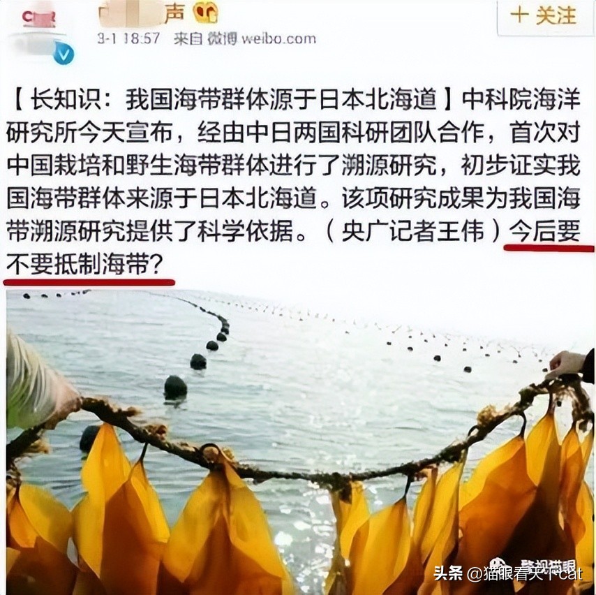 日本海鲜禁止进口范围,日本的海鲜被禁令了吗