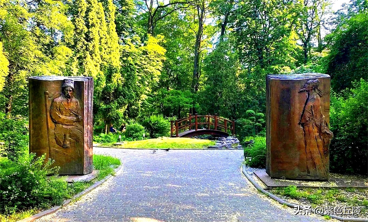 中乌外交关系现状今日新闻,乌克兰外长讲中乌关系