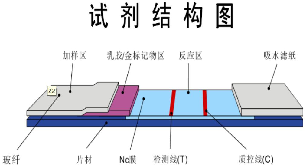 订单已确认待进入排产,订单已排到2025年