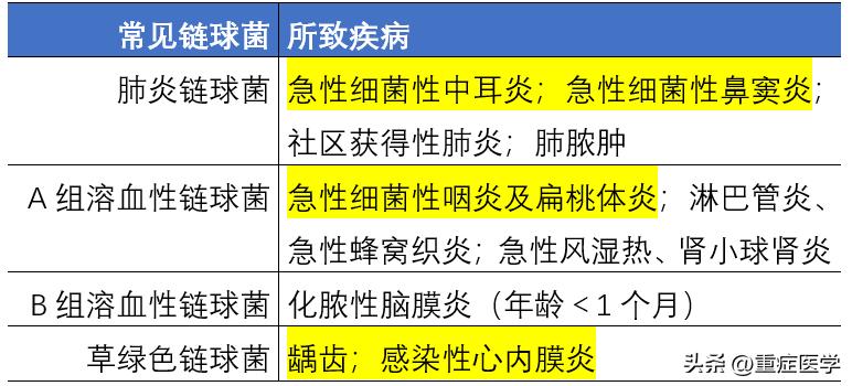 链球菌感染很常见，你至少需要知道这四点！