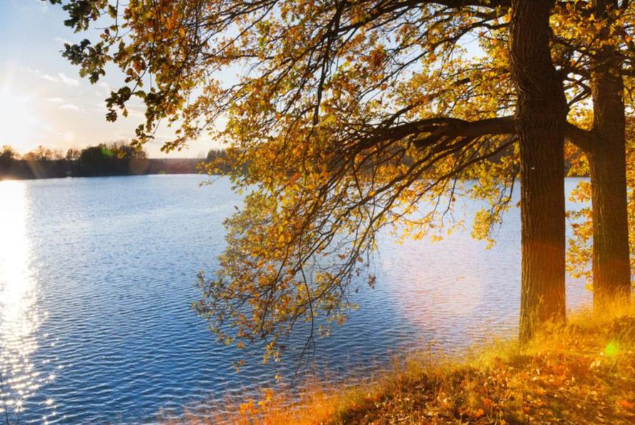 古今中外最著名的十首诗,古今最经典的十首诗