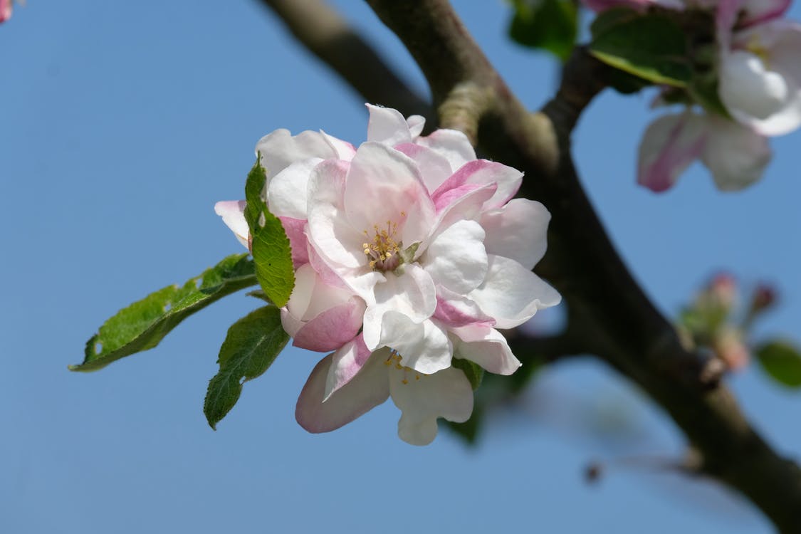 高情商女人让男人彻底爱上聊天,女人如何在聊天中让男人爱你