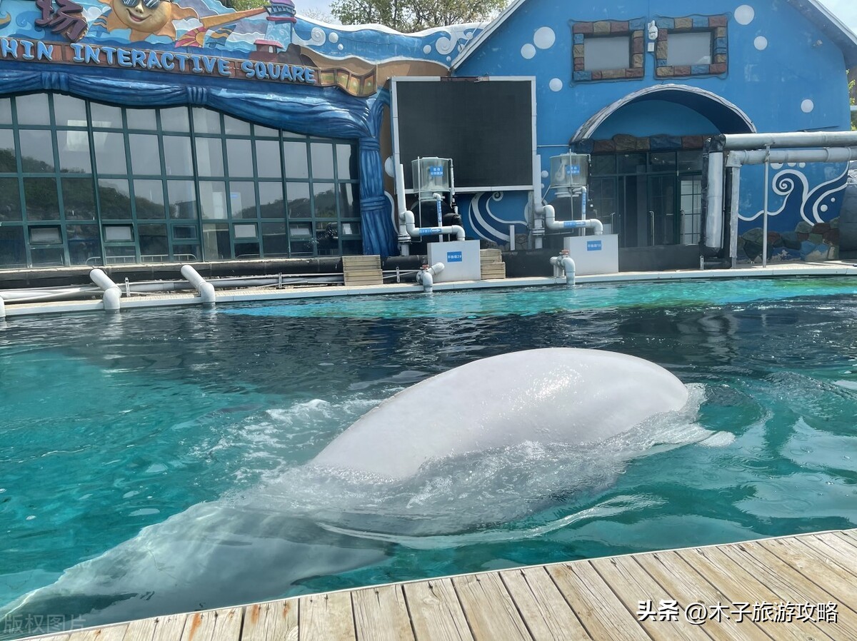 大连老虎滩海洋公园五馆旅游攻略,大连老虎滩海洋公园旅游攻略