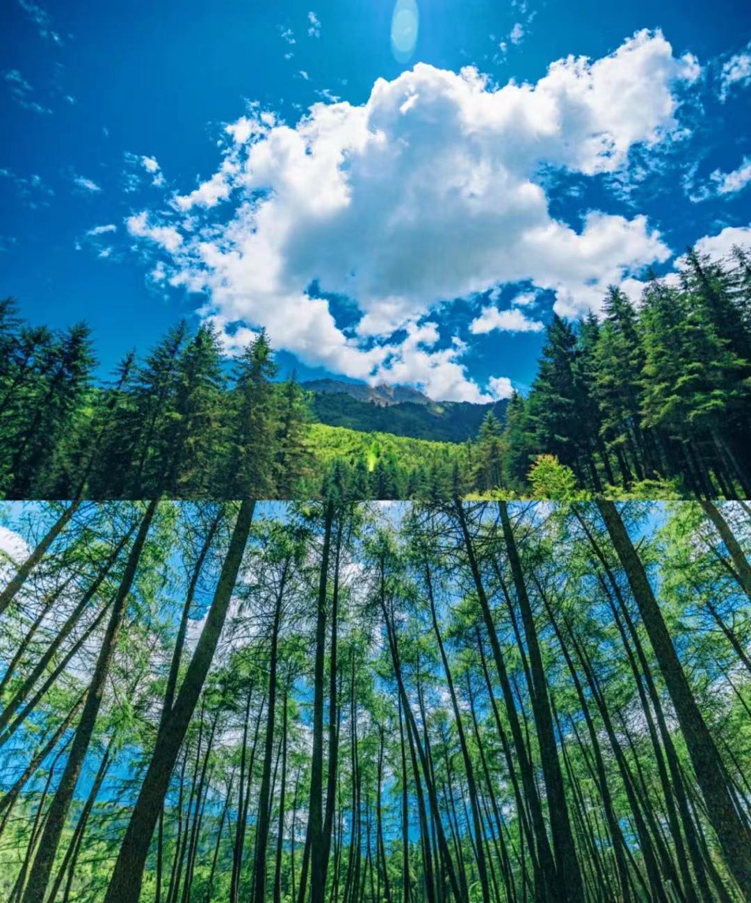 成都周边2-3天短途亲子游,成都2天短途旅游