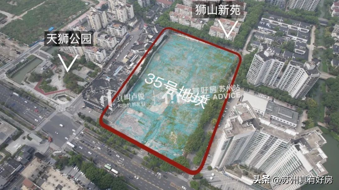 开局四大神兽,四大神盘新房