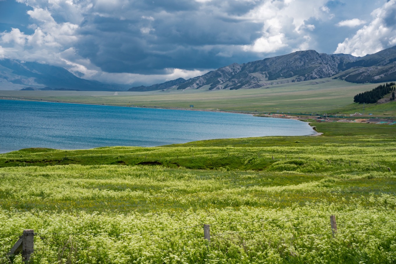 去新疆发现伊犁的美,世界之美尽在伊犁