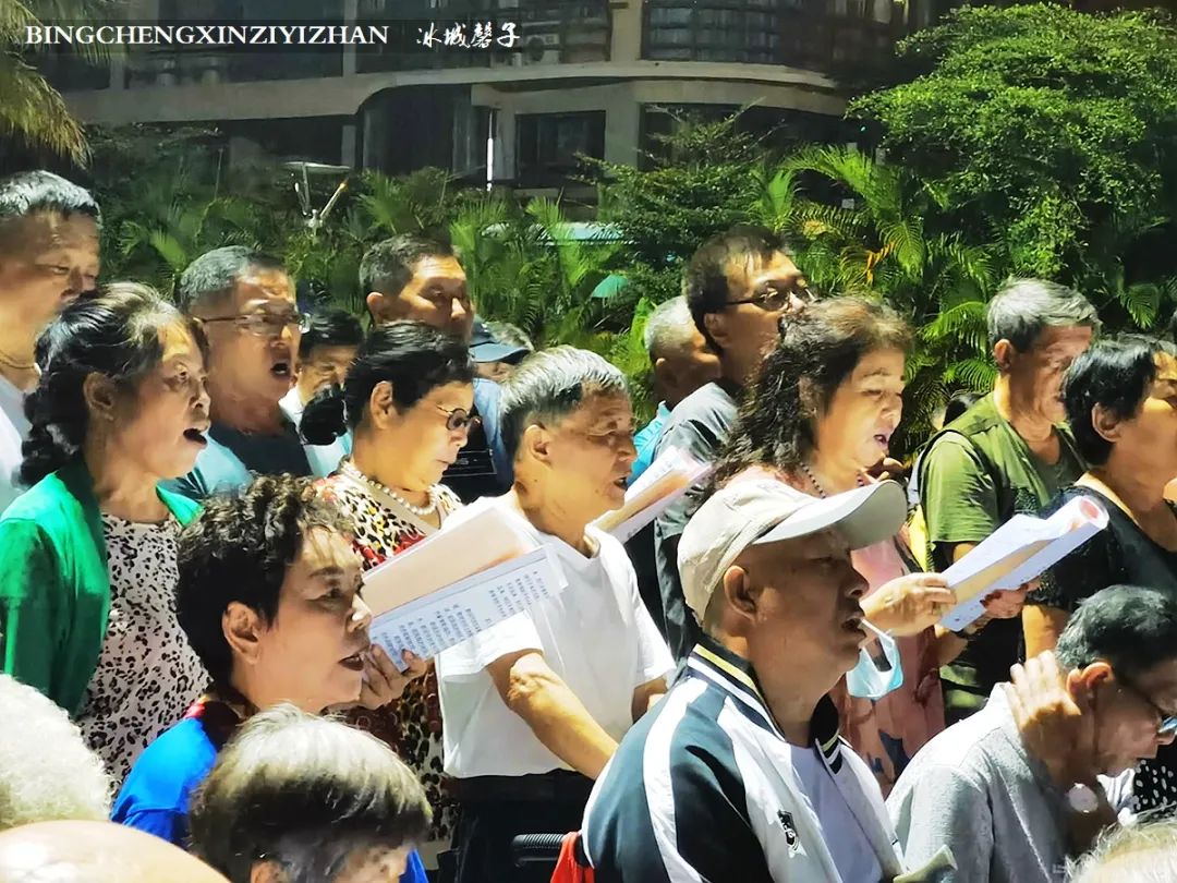 旅居海南：九所新区的浪漫情