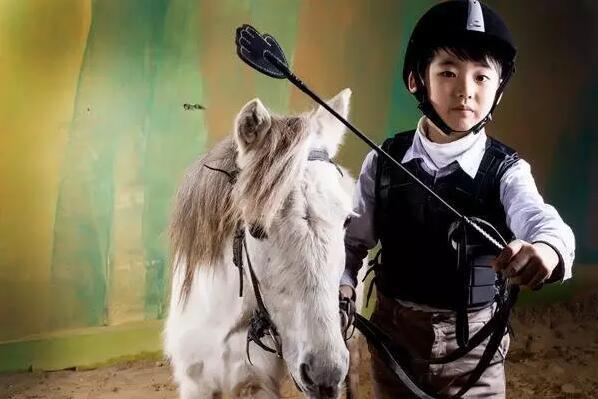 2023华杯赛夏令营,华誉外交官