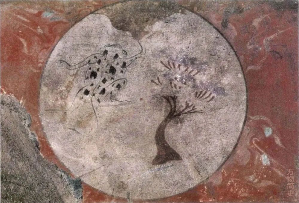 那年那兔那些年的故事,那年那兔那些事儿百年风云