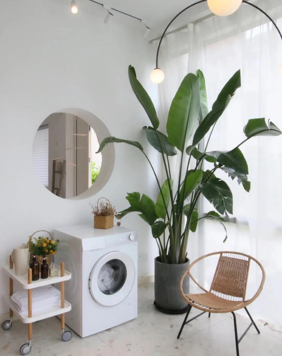 新房入住必买的家居好物,新房入住必买好物