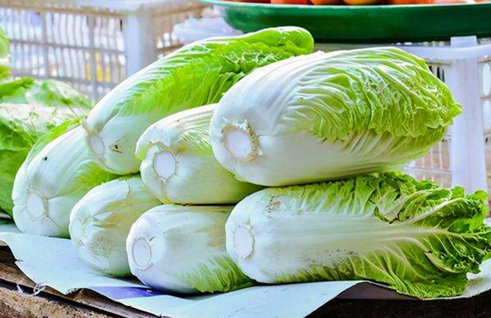 买白菜还是有一定的技巧,买白菜黄叶和绿叶哪个好