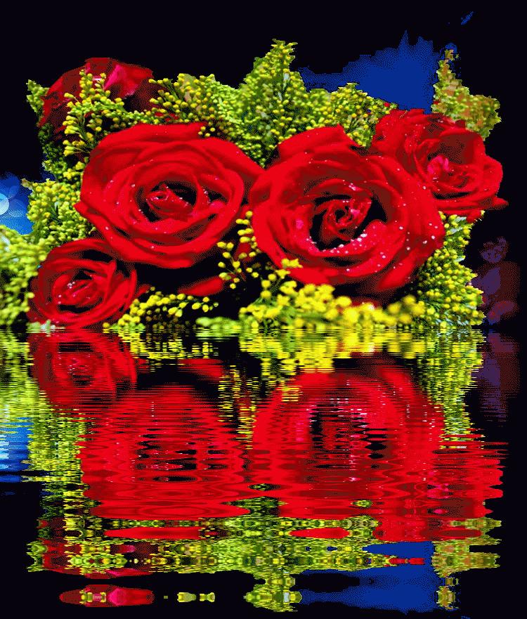 分享一束花图片,分享照片愿你遇到的都是美好