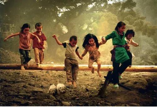 家长被收割,中国资本被收割案例