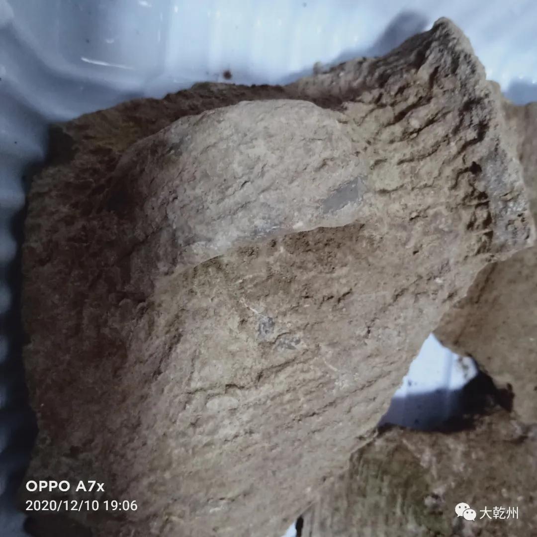 我的黄土地,我的黄土地歌词完整版