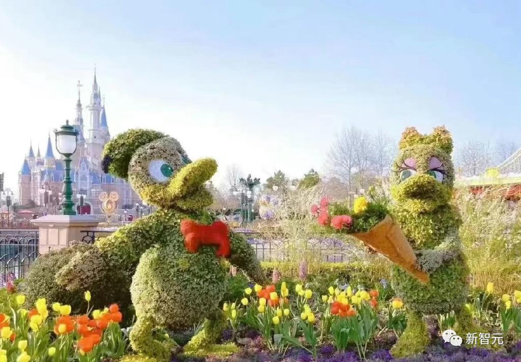 鐢ㄨ胺姝岃鏅潵鎺㈢储涓栫晫,鏈潵5骞磋胺姝岃鏅浘