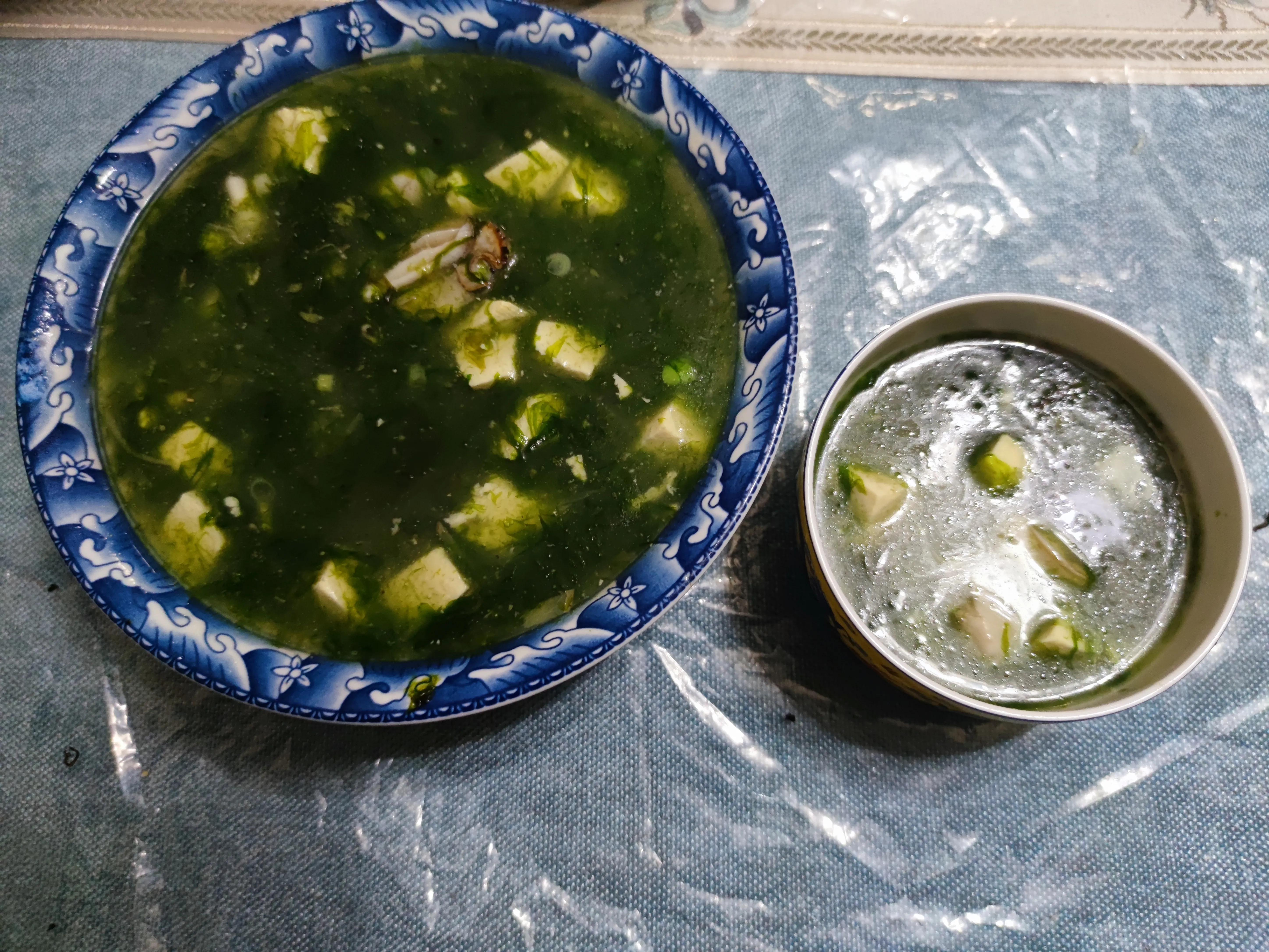 这个季节适合吃的小海鲜,春季肥美的小海鲜