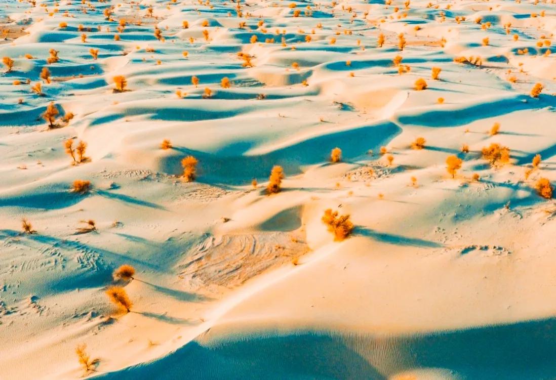 沙漠的绝景,沙漠壮丽的景色