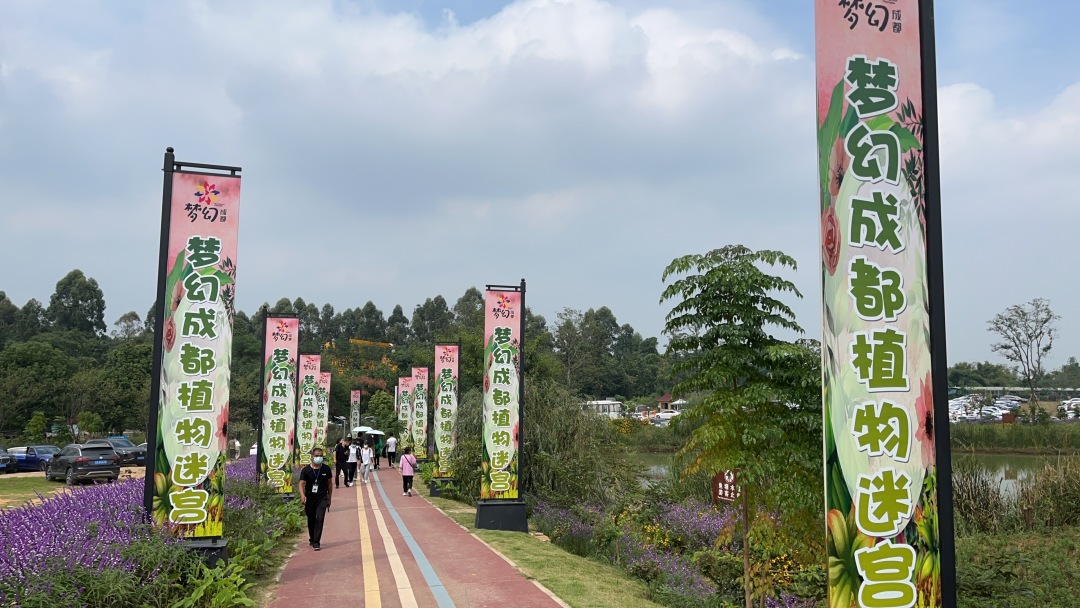 放假去哪里玩又便宜又好玩成都,假期去哪玩便宜又好玩儿成都