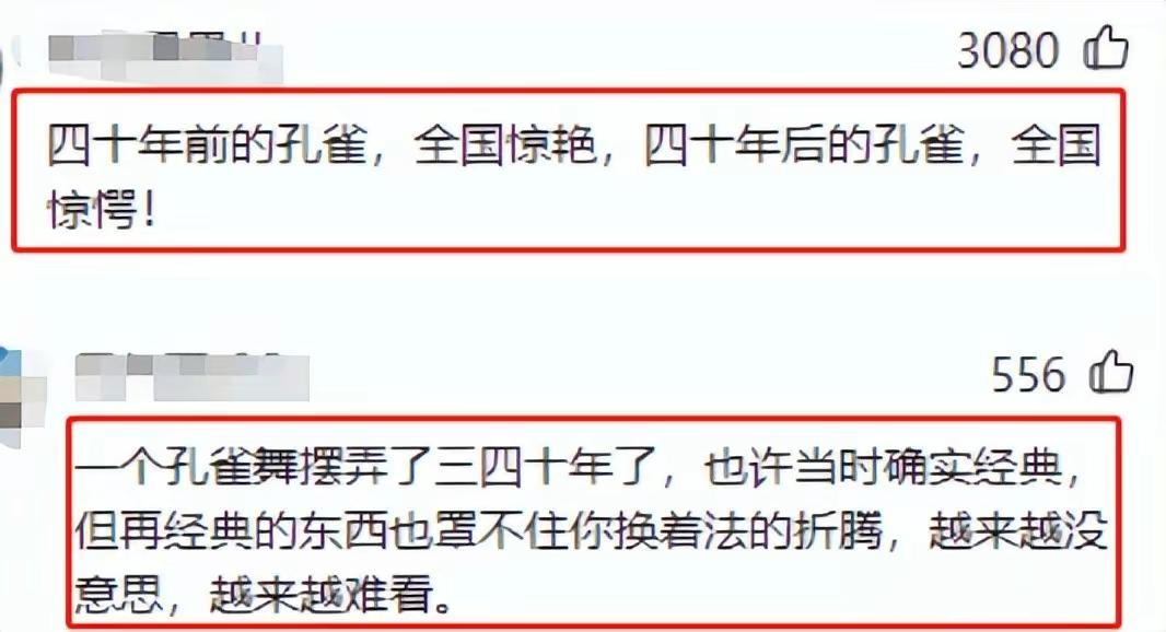 杨丽萍孔雀舞备受争议,杨丽萍舞蹈争议