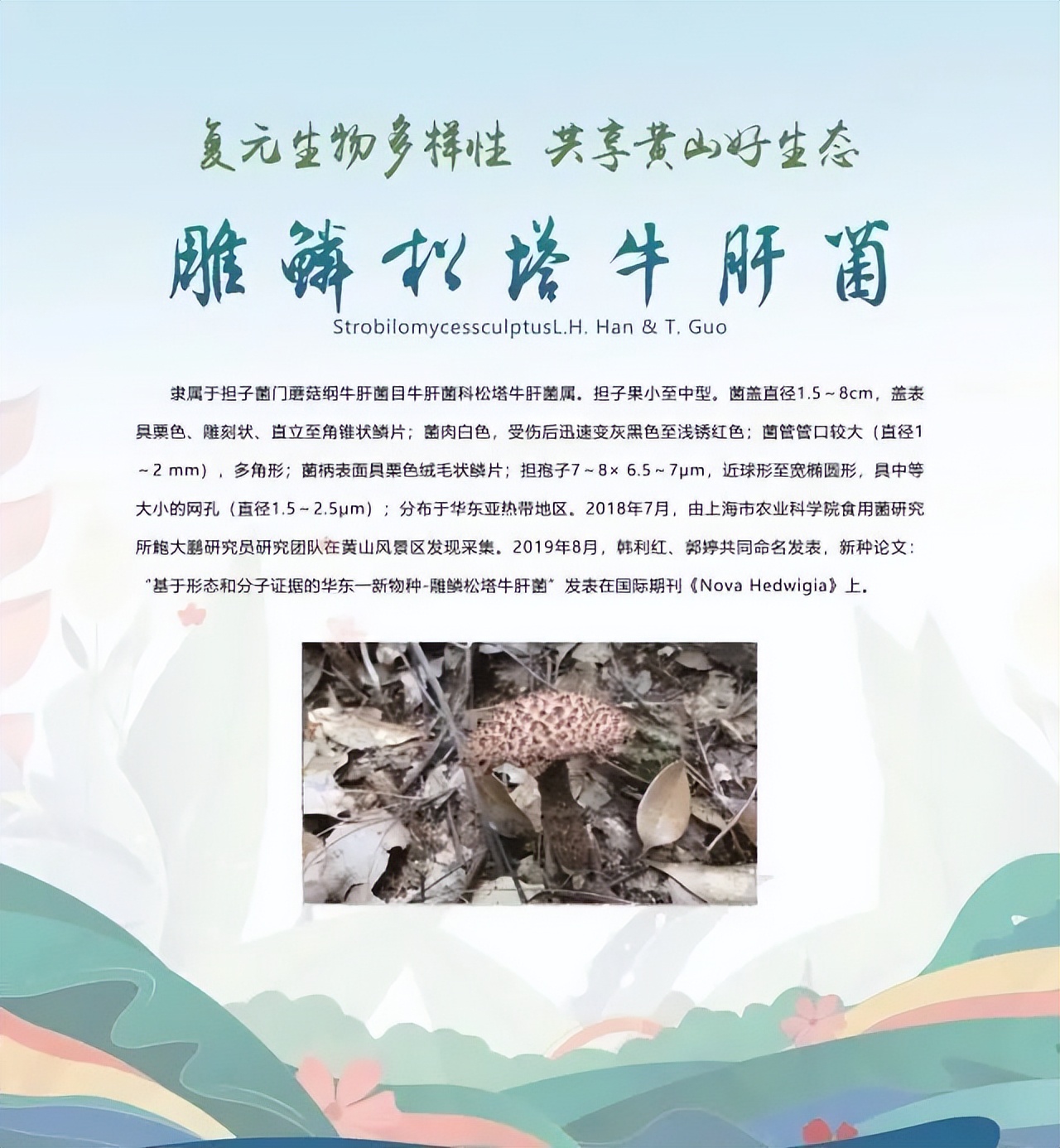 合肥二十种人气美食,合肥好吃的美食排行榜海鲜