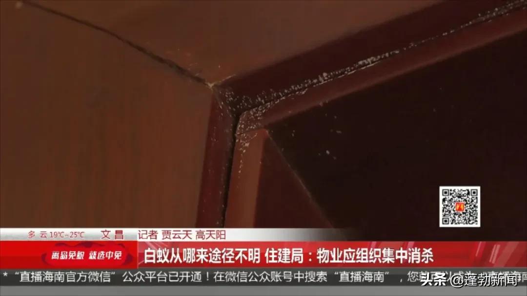 大量白蚁在家中筑巢啃噬家具，令人头皮发麻！如何防范看这里→