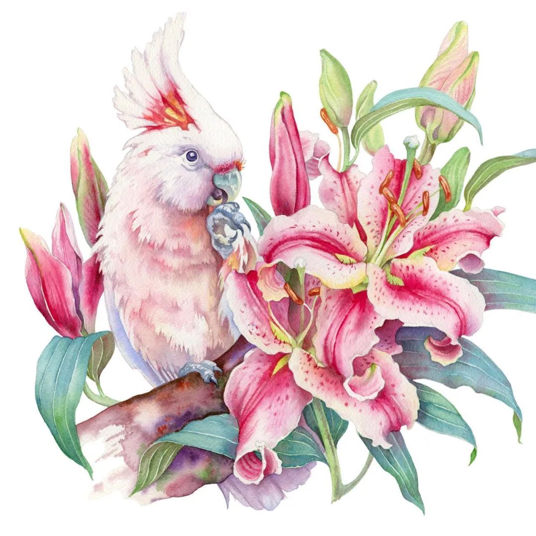 用色大胆的水彩作品,大神级水彩作品看完肯定不后悔