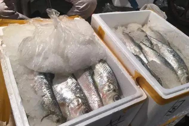 鱼类菜肴大全,鱼类食材大全